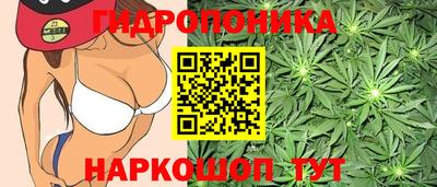 Альфа ПВП Краснодар