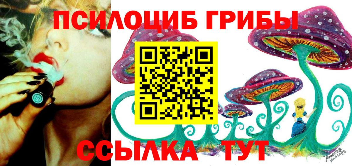Псилоцибиновые грибы мицелий Арзамас
